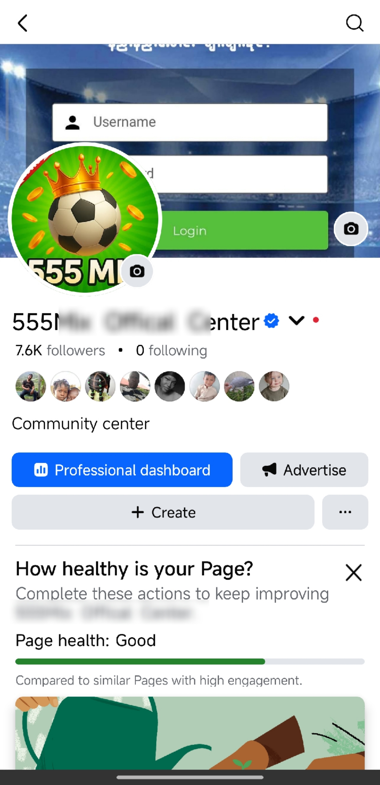 Page Bluemark Service